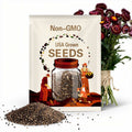 Strawflower Deep Red  x 25 Seeds