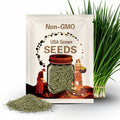 Garlic Chives Herb Seeds - Oriental Garlic, Chinese Leek, Ku Chai, Asian Garlic, Medicinal Herb, Heirloom Seeds, Non-GMO