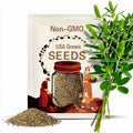 Provider Bush Bean Heirloom Seeds