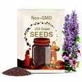 Purple Coneflower- Seeds - Echinacea Purpurpea -  Healing Herb - Buckeye Heirloom Seeds