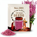 Statice Pink Pokers Seeds – Heirloom, Russian Statice, Sea Lavender, Pink Blooms, Great for Dried Flowers | 50 Seeds