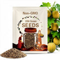 Hales Best Jumbo Melon Seeds – Large, Sweet, Juicy Melons, Cantaloupe, Non-GMO Seeds