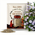 Five Spot Nemophila Seeds 100 Ct Flower ANNUAL WILDFLOWER USA