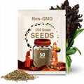 50 Organic BLACK AMBER SORGHUM Sugar Cane Sorghum Bicolor Grain Vegetable Seeds