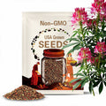 Cleome Cherry Queen - 25 Seeds - C. Hassleriana