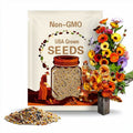 50s|Sunset Mix Calendula Seeds-Perennial -Authentic Seeds-Flowers -Organic. Non GMO -Vegetable Seeds-Mix Seeds for Plant-.#H004.