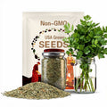 Lovage Herb Heirloom Seeds - Medicinal Herb, Herb Garden, Non-GMO, Open Pollinated