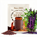 Purple Podded Pole Beans Heirloom Vegetable Seeds