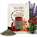 Sage, Scarlet | 100 Seeds | Heirloom Herb | Medicinal Plant | Red Blooms | Fragrant Flower | Salvia coccinea