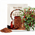 Organic Cayenne Pepper Seeds: Long Slim Variety, Home Grown (30 Seeds)