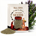 Toothache Plant (Spilanthes Oleracea) Medicinal Herb Seeds - Electric Daisy, Eyeball Plant, Peek-A-Boo, Electric Buttons, Heirloom, Non-GMO