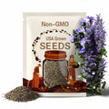 1000 CHICORY (Blue Daisy / Blue Sailors / Coffeeweed / Succory) Chicorium Cicorium Intybus Flower Herb Seeds
