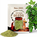 Moringa Seeds – Heirloom Drumstick Tree, Medicinal, Culinary, Herbal Teas, Edible Leaves, Fast Growing | 10 Seeds