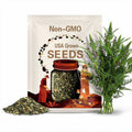 400 Interrupted Fern Spores/Seeds