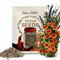50 Blanket Flower Seeds – Gaillardia aristata – Bright Perennial Wildflower – Made in USA