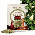 30 Honeydew Melon Seeds- Green Flesh Organic Non Gmo