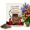 50 Sherbert Coneflower Seeds - Echinacea, Hardy Perennial Flowers, Ornamental Garden Blooms, Pollinator Friendly
