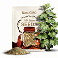 Apple Gourd seeds (10 count)