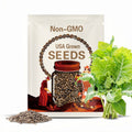 Heirloom Jernigan Collard Green seeds - Specialty ! Fresh ! USA ! 130 seeds ! Delicious ! 2024 !