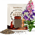 Canterbury Bells Mix Seeds – Heirloom Flower with Tall Spikes of Bell-Shaped Blooms in Purple, Pink, Blue and White | 100 Seeds