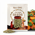 20 atlantic GIANT pumpkin seeds worlds largest pumpkins free shipping