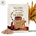 250 Pcs Certified Armor Oat Seeds Oats Avena Sativa Cereal Grain Cover Crop Seed