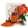 Orange Amber Queen Dahlia Perennial Flower Seeds-Pollinator Friendly- Open Pollinated - Heirloom - Flower Seeds - Mix Seeds  - .#D005.
