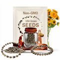 Grow Giant Fluffy Sunflowers! 40 Seeds for a Sea of Double Blooms - So Easy,  Teddy Bear Sunflowers