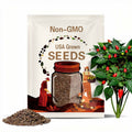 15 Florida Native Bird Pepper Seeds - Solanaceae