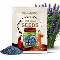 Texas Blue Giant Fig Seeds – 100+ Sweet Fruit Tree Seeds