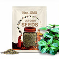 Organic Thai Basil Seeds, 50+ Seeds, Medicinal Herbs, Heirloom Seeds, Non GMO, Plant, USA Grown