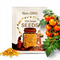 15 Sungold Tomato Seeds Orange Cherry Tomato Sweet Easy to Grow
