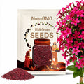 100+ Scarlet Flame Creeping Phlox Seeds, Flowers Plant for Home Garden
