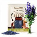 Blue Wild Indigo Flower Seeds- 35 Seeds, Heirloom Flower, Baptisia australis, Cut Flower Garden, Pea Blossoms, Native, Open Pollinated
