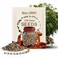 40 SEA FENNEL Rock Samphire Crithmum Maritimum Fragrant Herb Edible Vegetable Yellow Flower Seeds