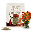 Sneezeweed Autumnale Helenium Seeds Heirloom Organic USA NJ organic non gmo.