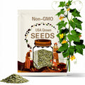 Honeydew Melon Green Flesh Seeds